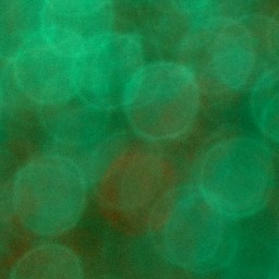 Bokeh-426
